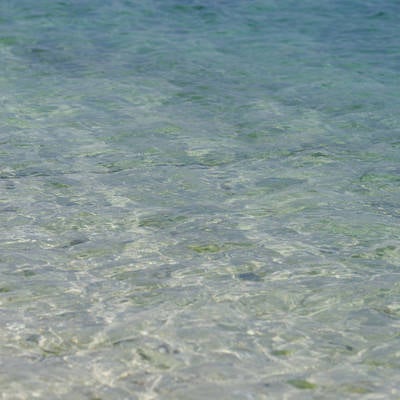 透明度の高い沖縄の海の写真