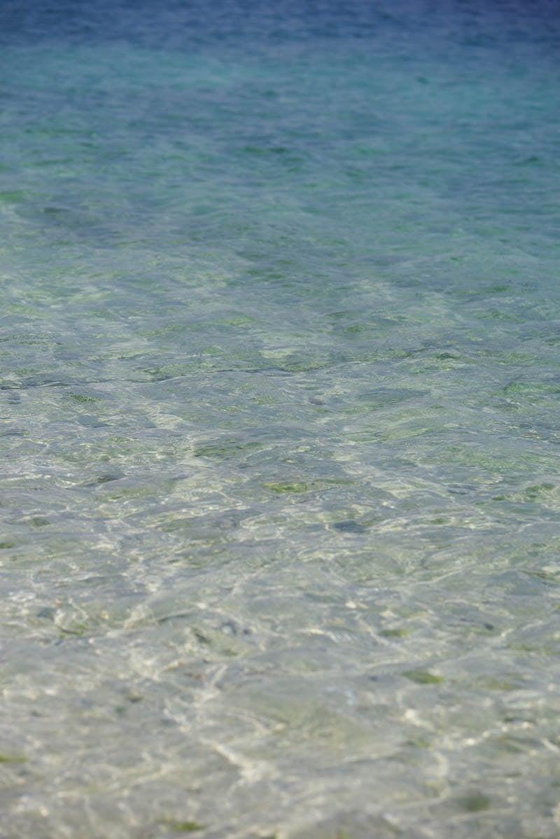 「透明度の高い沖縄の海」の写真