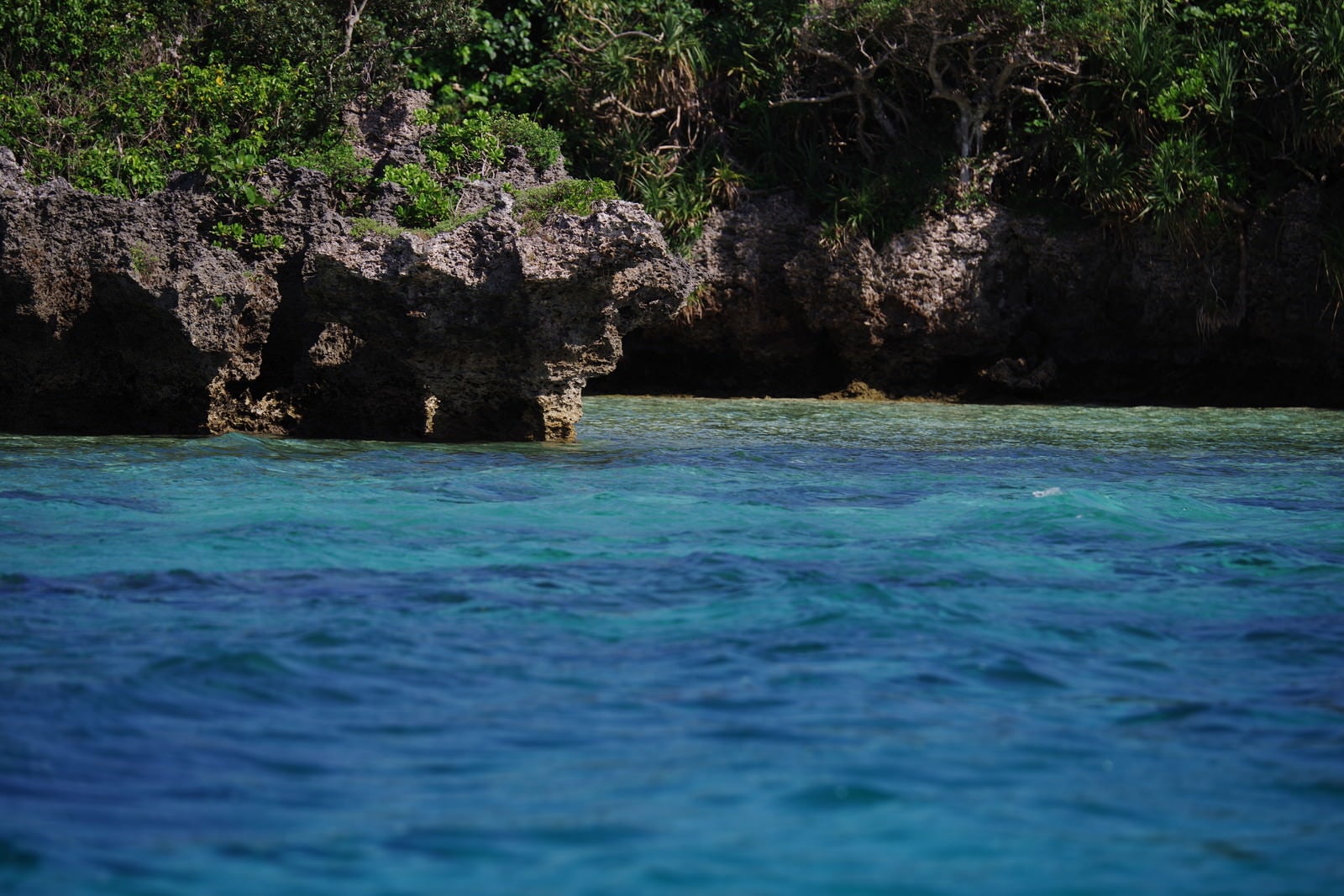 「石垣島の青い海と切り立った岩場（沖縄県）」の写真