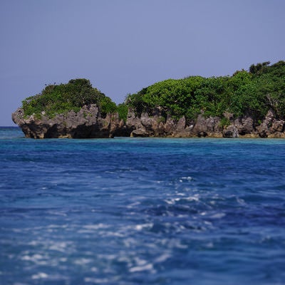 青い海と緑の生い茂った島（沖縄県）の写真