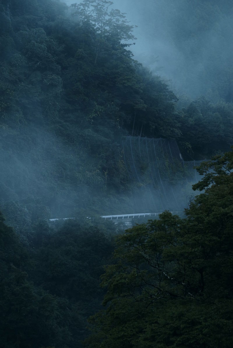 「霧深い山奥に見える車道とガードレール」の写真