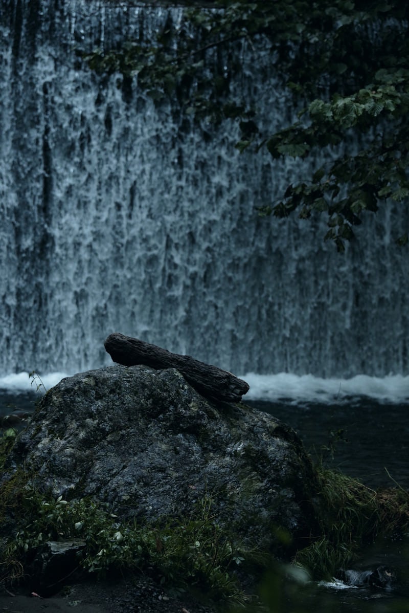 「岩に横たわる倒木と滝」の写真