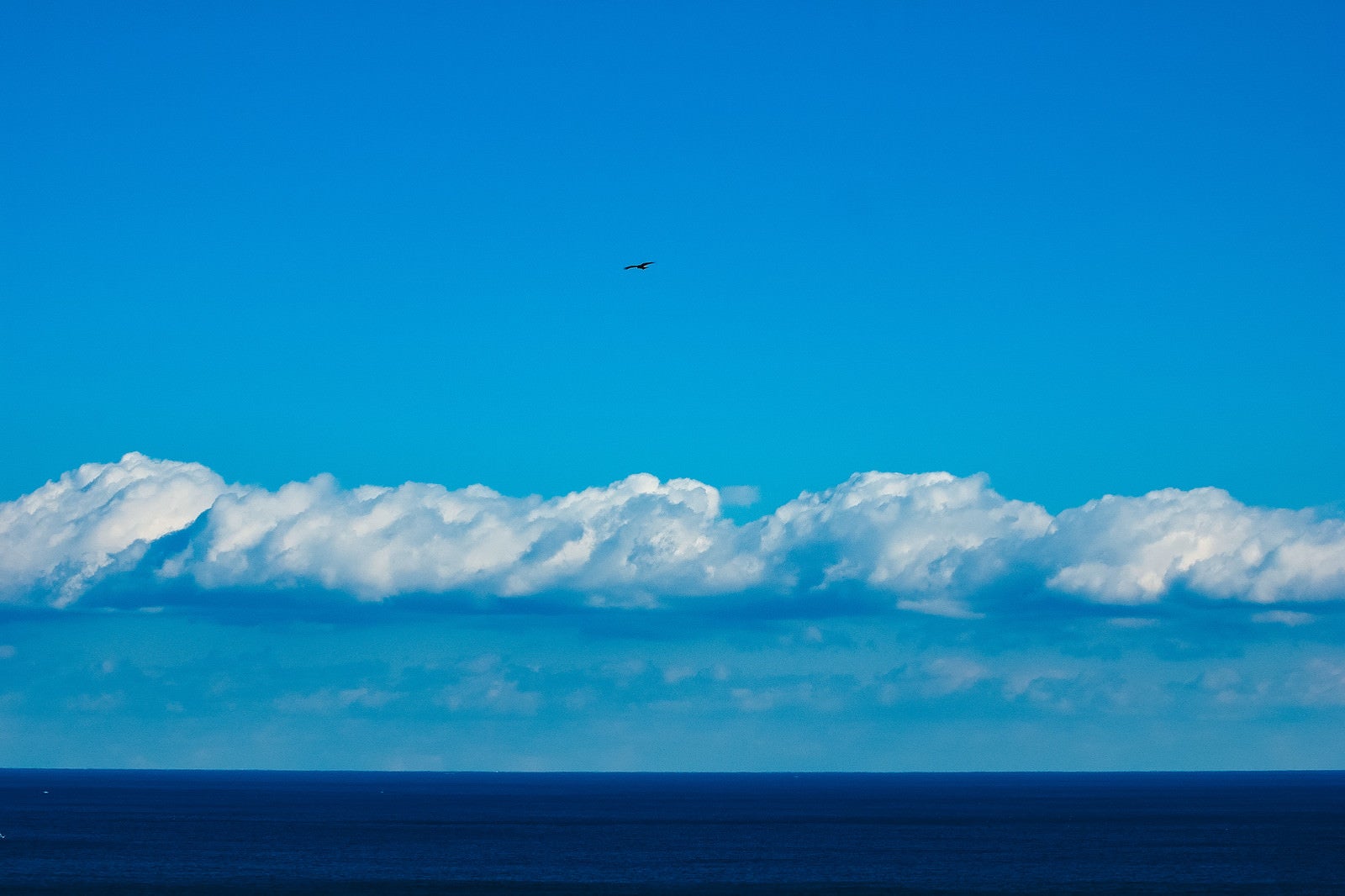 「真っ青な海と空との間に伸びる水平線」の写真