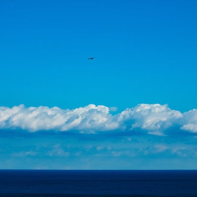 真っ青な海と空との間に伸びる水平線の写真