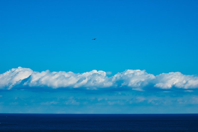 真っ青な海と空との間に伸びる水平線の写真