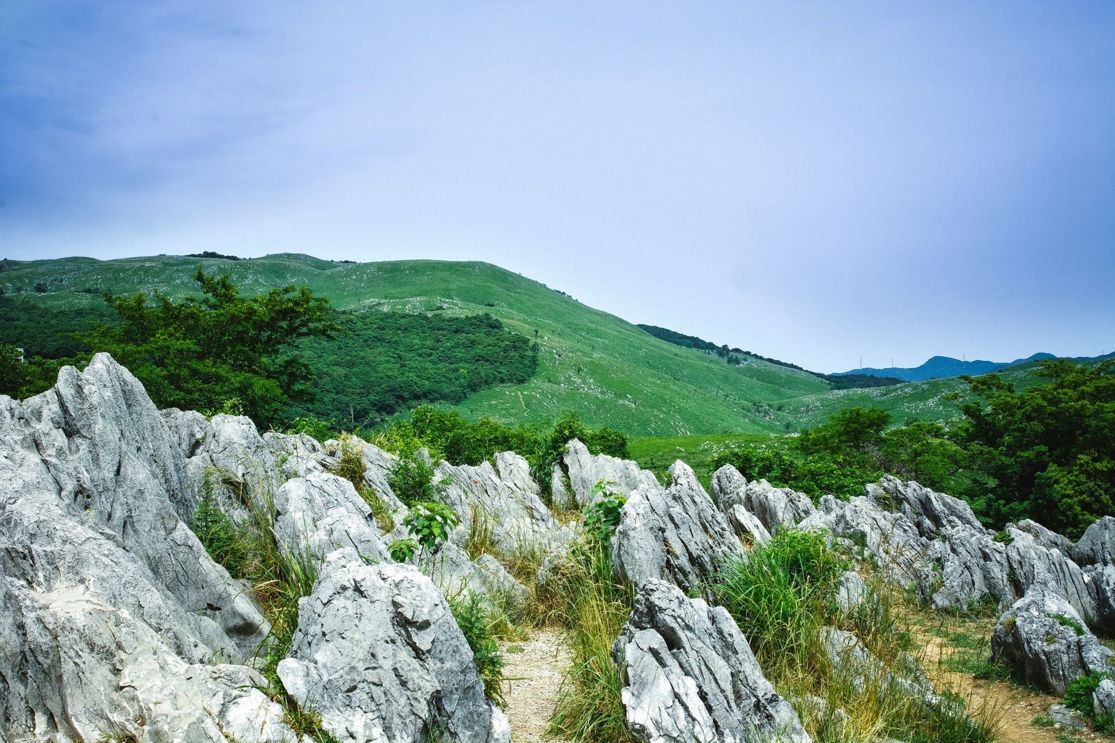 「ごつごつとした岩の間に立ち、眺めるカルスト台地」の写真