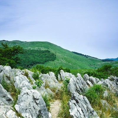 ごつごつとした岩の間に立ち、眺めるカルスト台地の写真