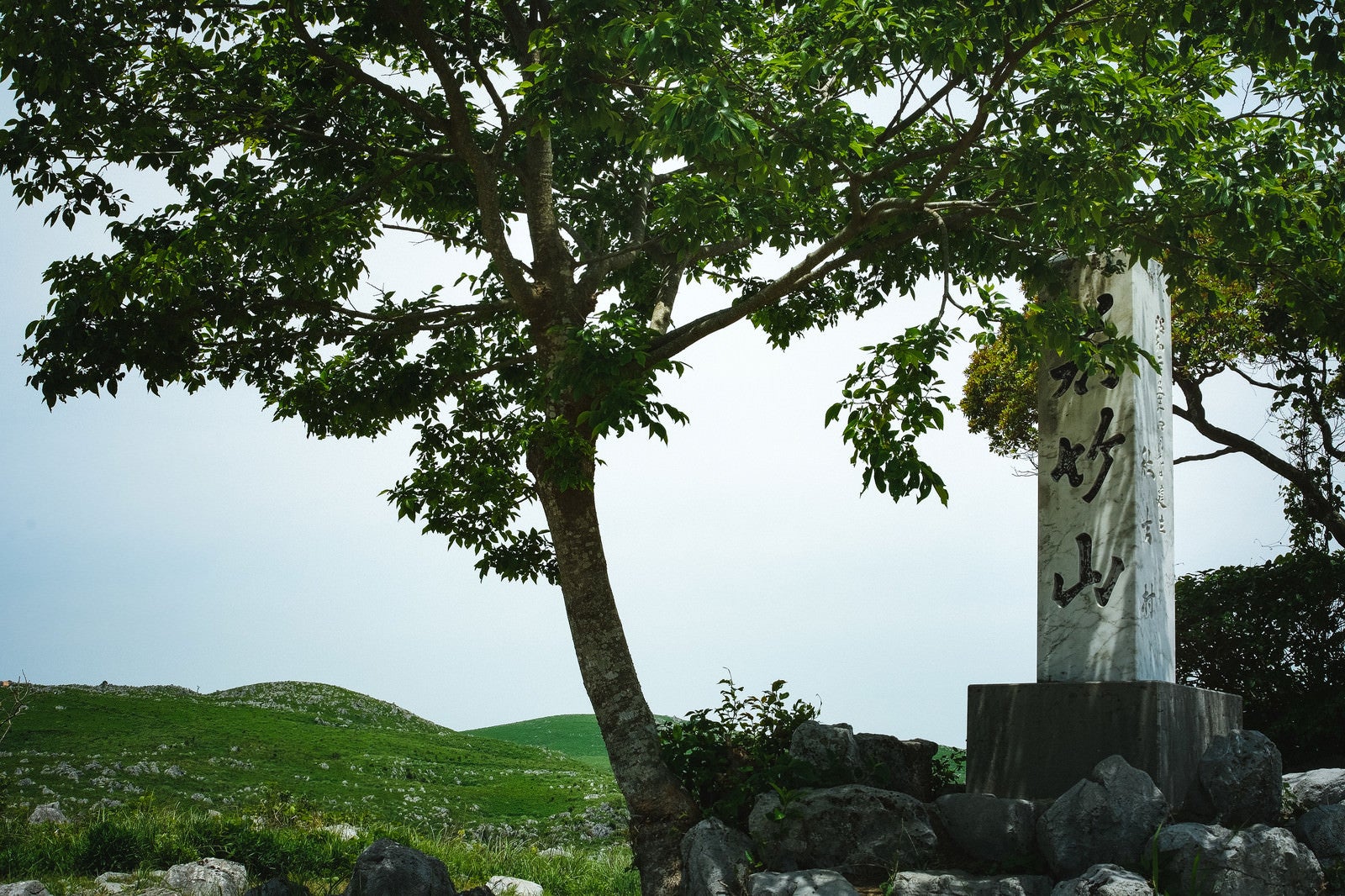 「枝に隠れた若竹山山頂の石碑（山口県美祢市）」の写真