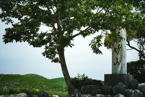 枝に隠れた若竹山山頂の石碑（山口県美祢市）の写真