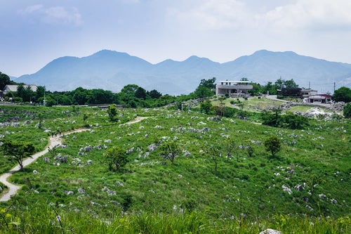 若竹山山頂からの景色（山口県美祢市）の写真