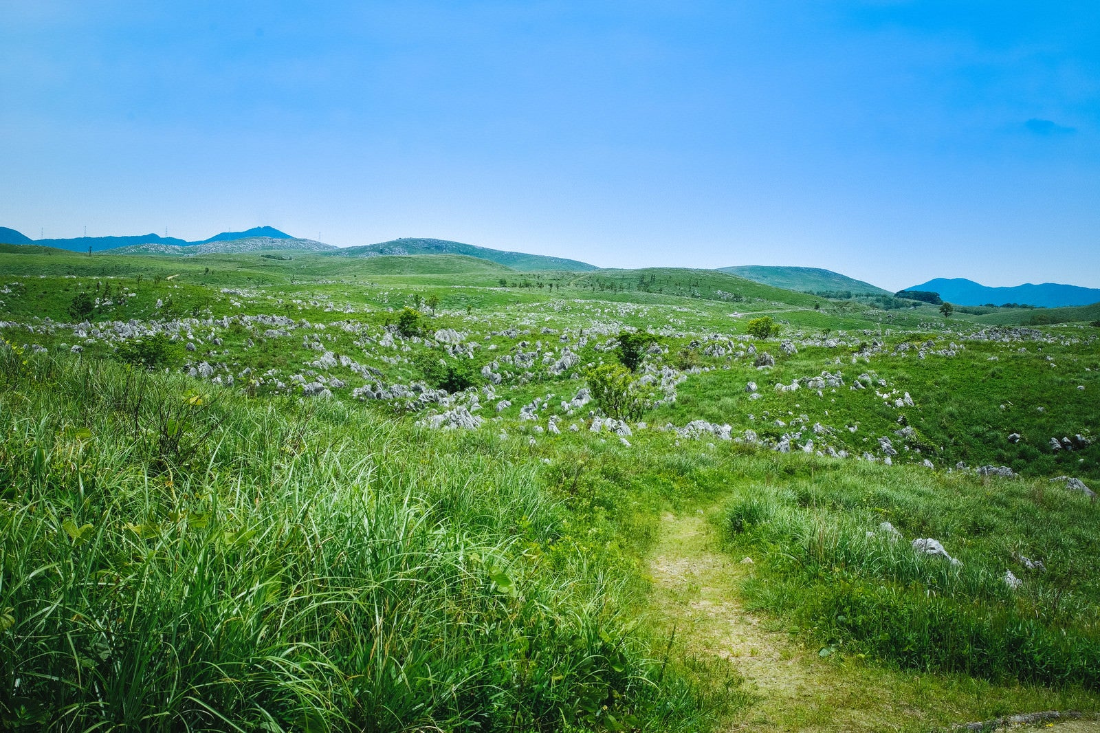 「カルスト台地の草原を進む小道（山口県美祢市）」の写真