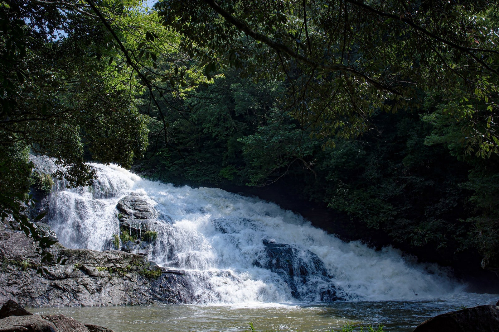 「増水して荒ぶる二畳ヶ滝（愛知県豊田市）」の写真
