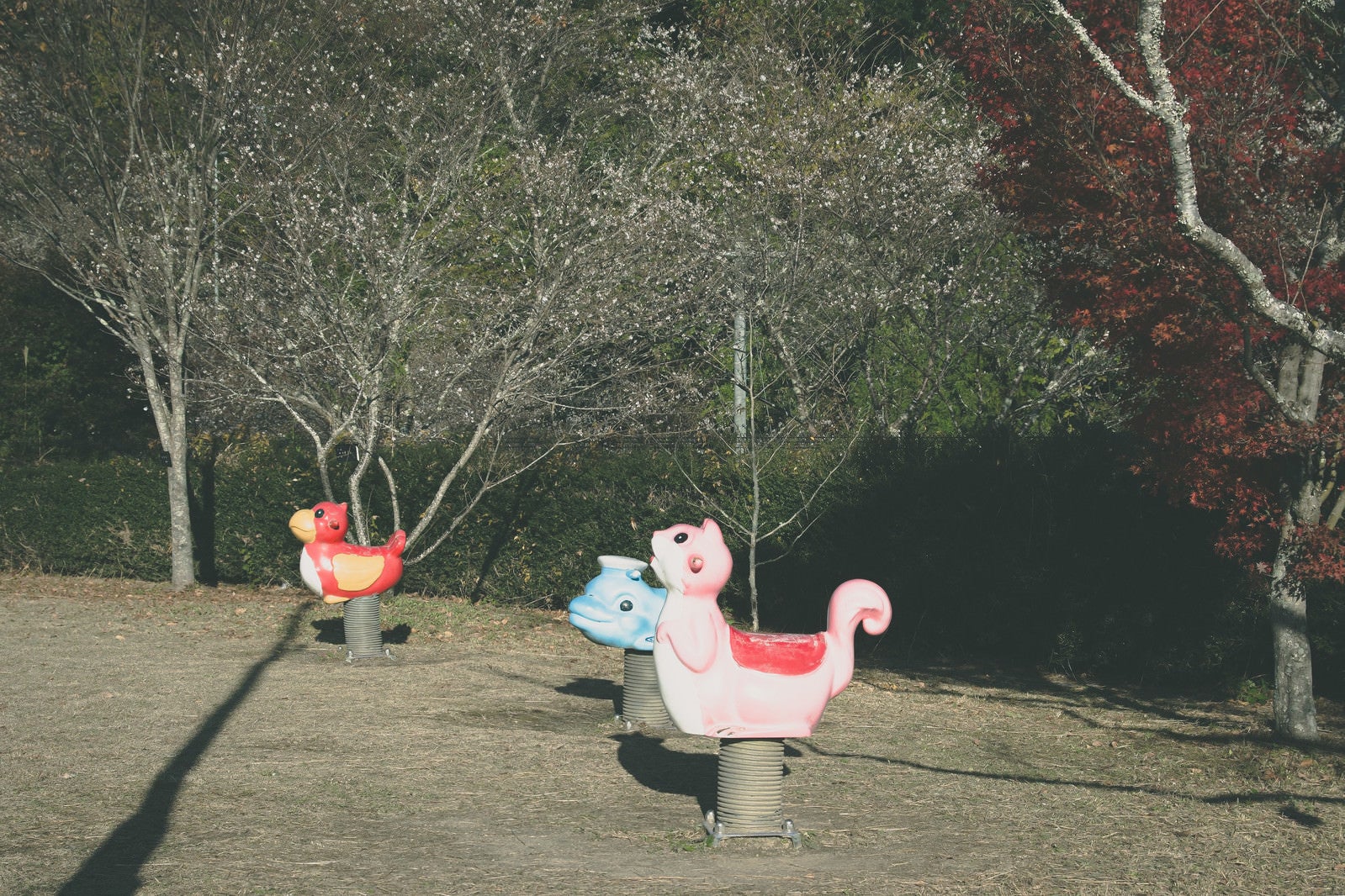「公園に設置された動物型のスプリング遊具」の写真