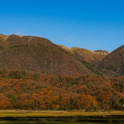 秋の終わりを告げる山里の風景の素材