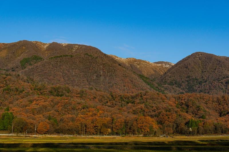 秋の終わりを告げる山里の風景の写真