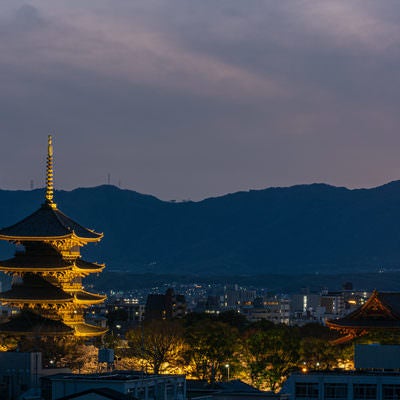 夕暮れから夜へと変わる空の下ライトアップされた東寺五重塔の写真