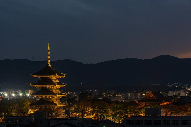 ライトアップされた東寺を展望デッキより望むの写真