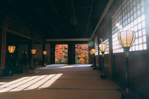 障子越しの光が差し込む愛宕念仏寺本堂内と北側の扉の向うに見える紅葉の写真