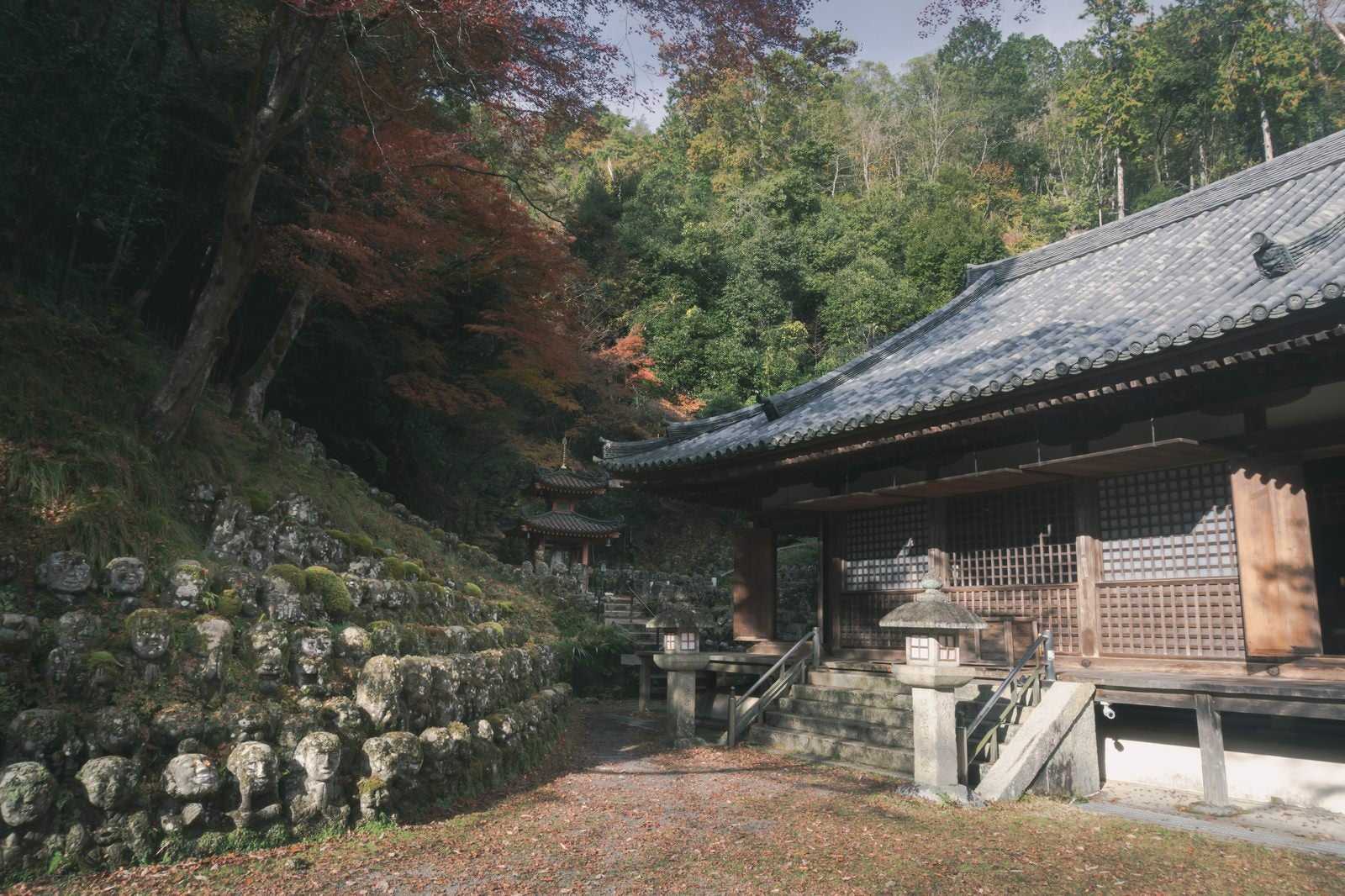 「愛宕念仏寺本堂とその奥の紅葉の下に見える多宝塔」の写真