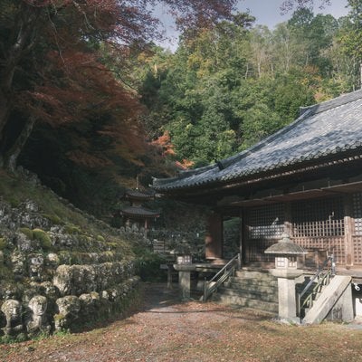 愛宕念仏寺本堂とその奥の紅葉の下に見える多宝塔の写真