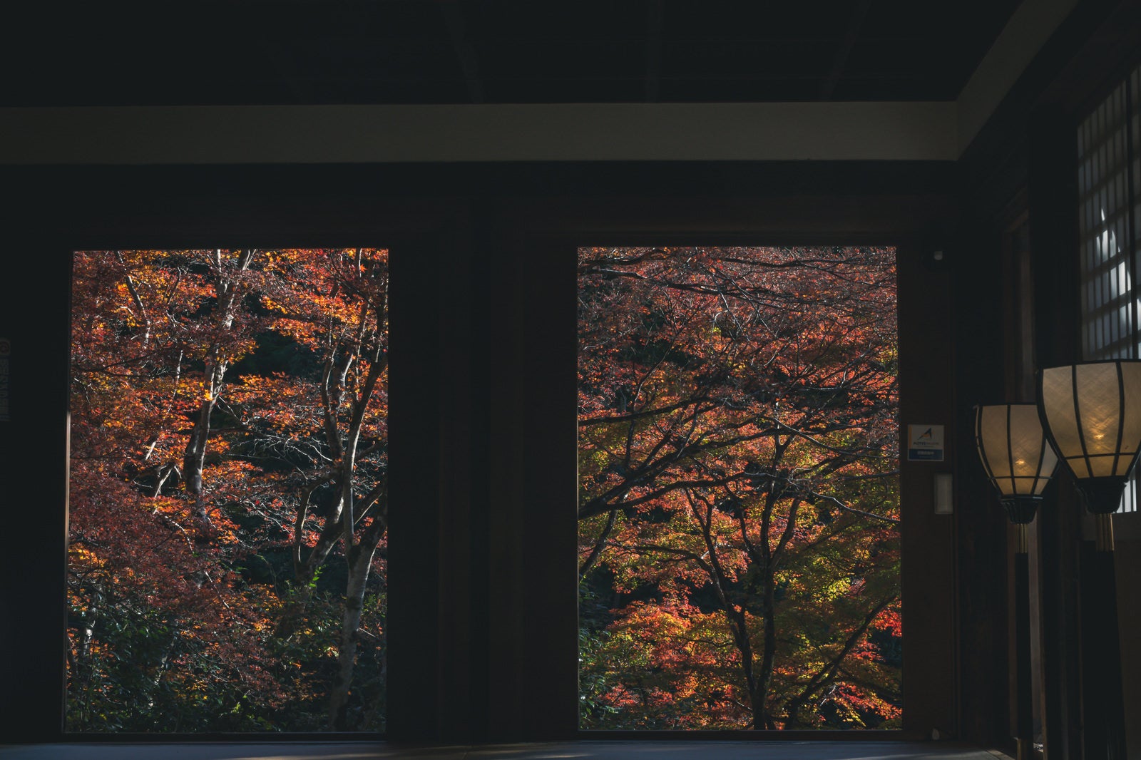 「まるで絵画の様にも見える開け放たれた本堂北側の扉の向うの紅葉の木々」の写真