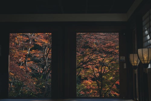 まるで絵画の様にも見える開け放たれた本堂北側の扉の向うの紅葉の木々の写真