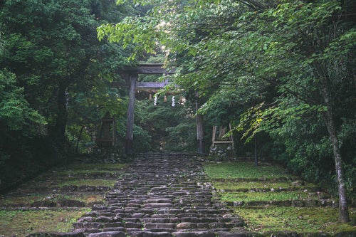 精進坂の上に建つ白山神社一の鳥居の写真
