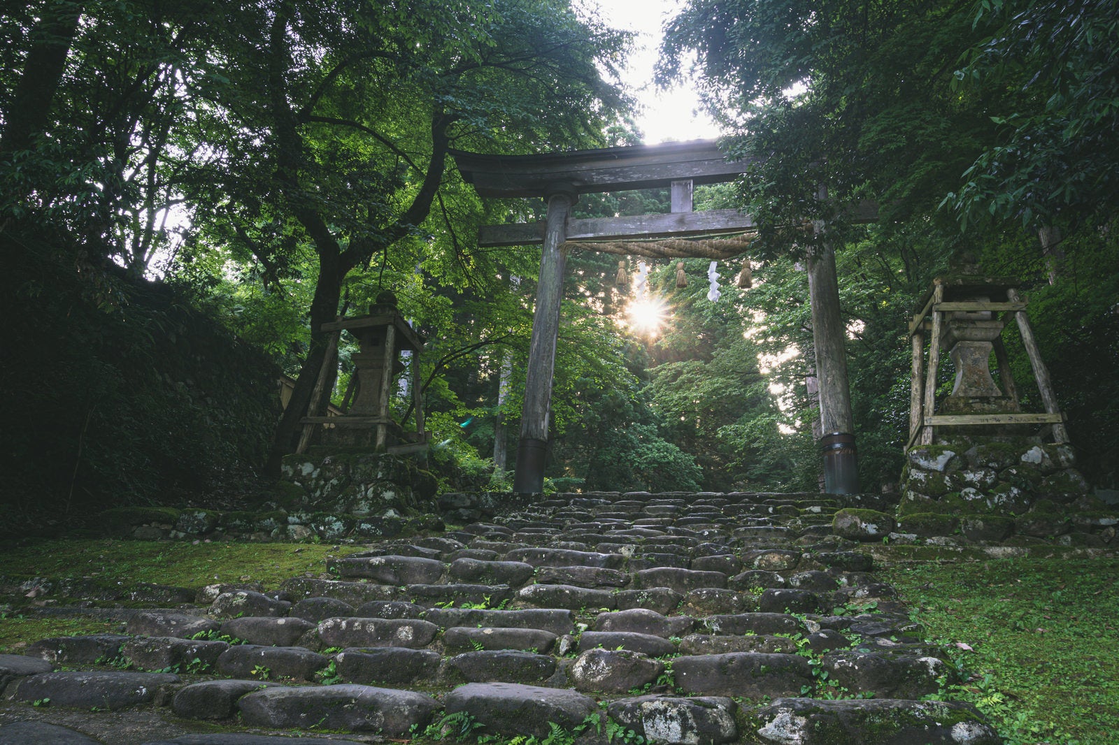 「白山神社一の鳥居の中に輝く朝日」の写真