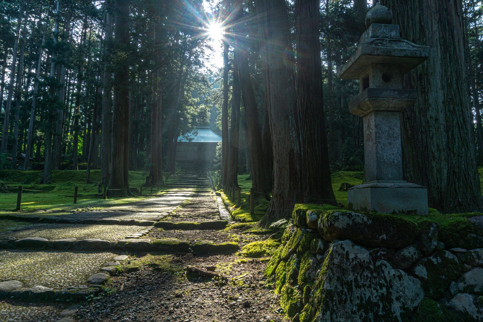 「白山神社拝殿の頭上から顔を覗かせる朝の太陽」の写真
