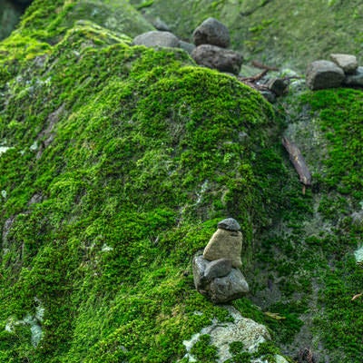 苔に覆われた岩に器用に積まれた石の写真