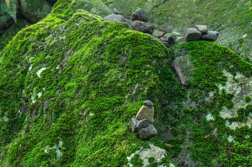苔に覆われた岩に器用に積まれた石の写真
