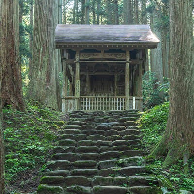 大きな杉の木々に囲まれて建つ白山神社三の宮の写真