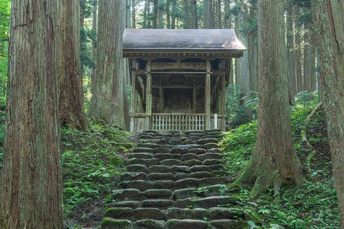 大きな杉の木々に囲まれて建つ白山神社三の宮の写真