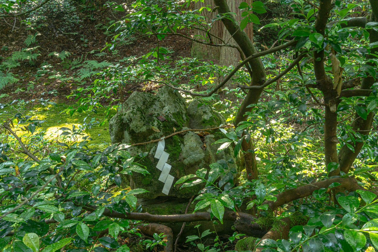 「本社横の植木の傍らにある注連縄を張られた岩」の写真