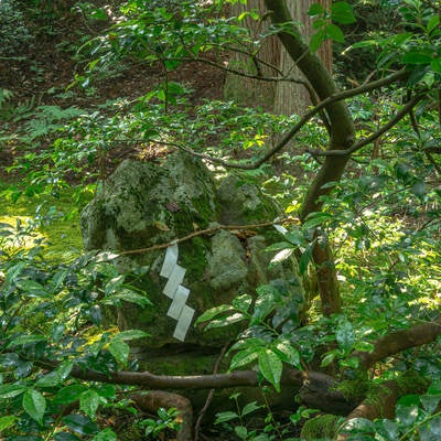 本社横の植木の傍らにある注連縄を張られた岩の写真