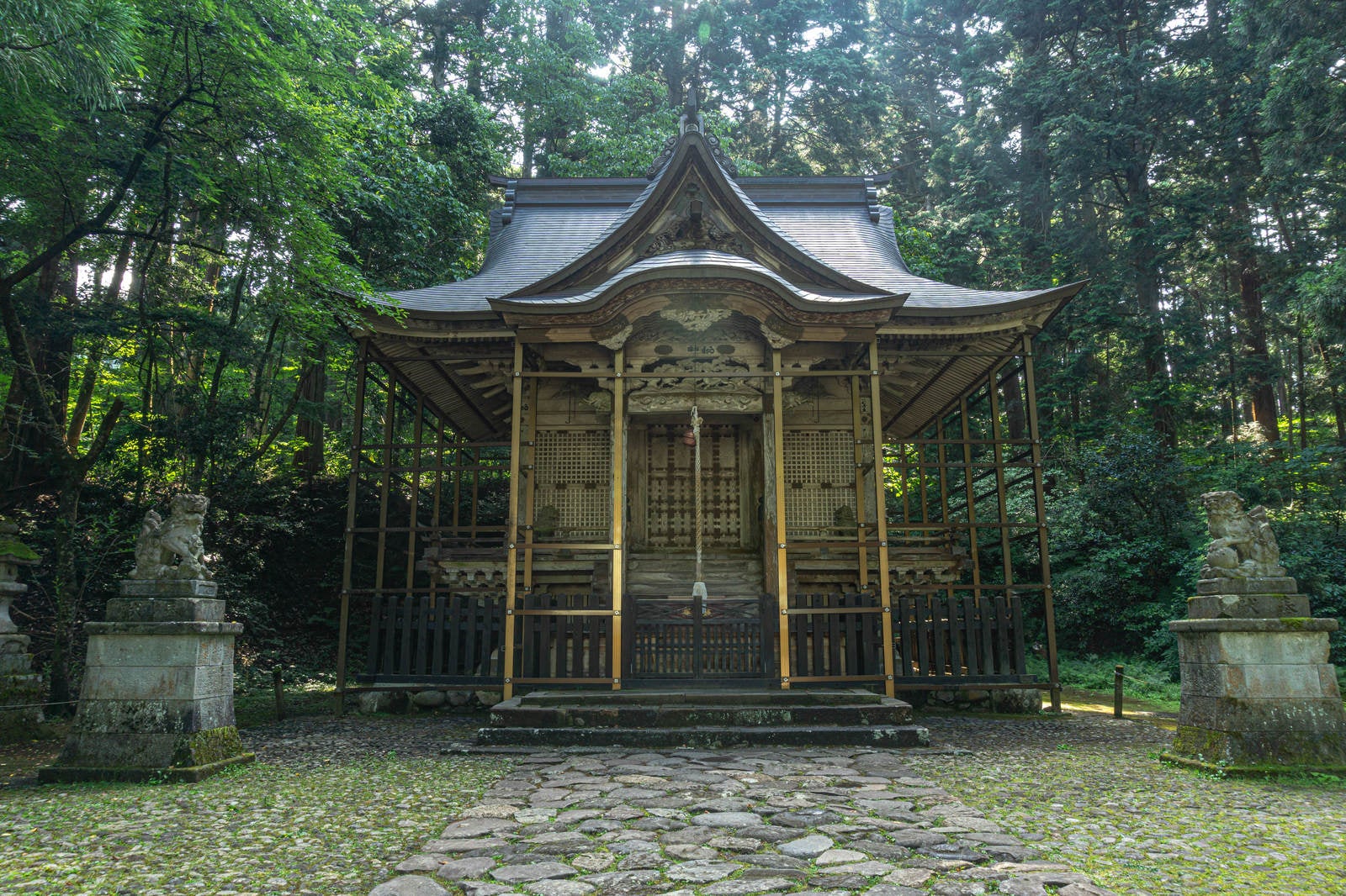 「平泉寺白山神社本社」の写真