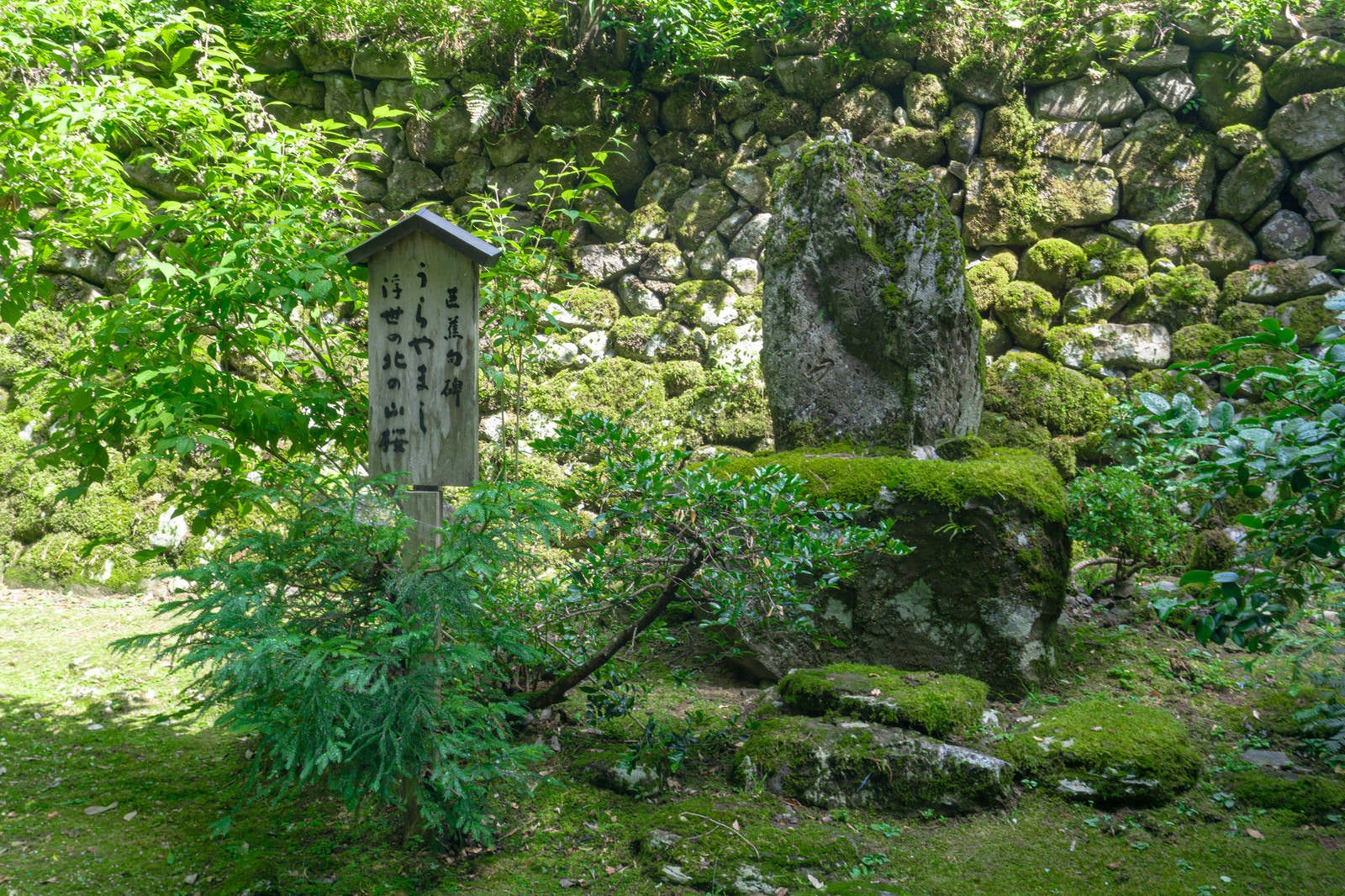 「平泉寺白山神社境内に建つ芭蕉の歌碑」の写真