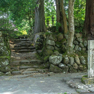 平泉寺白山神社の開祖泰澄大師廟へと続く石段と石碑の写真