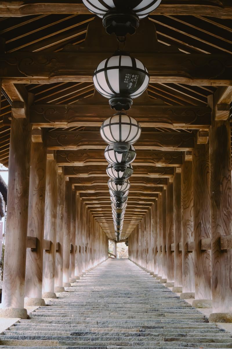 「天と地をつなぐ登廊 長谷寺の歩み」の写真