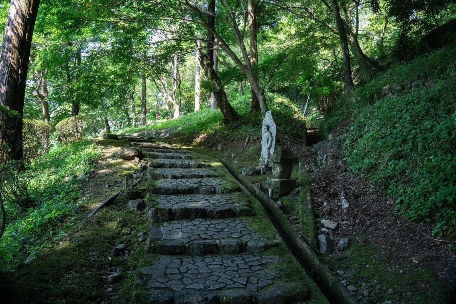 「長谷寺の階段と木漏れ日」の写真