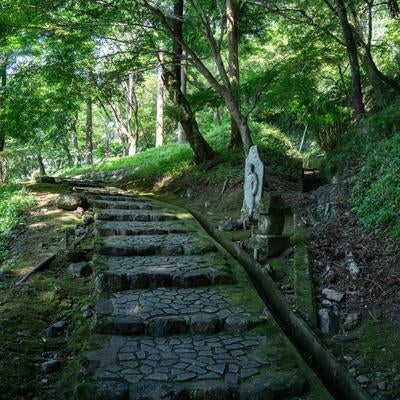 長谷寺の階段と木漏れ日の写真