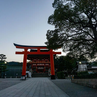 石畳の先、背後からの薄っすらとした朝の気配の中に建つ二番鳥居とその先に見える楼門の素材