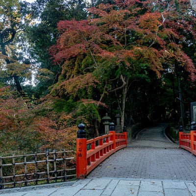 紅葉に彩られた伏見稲荷大社・十石橋の写真