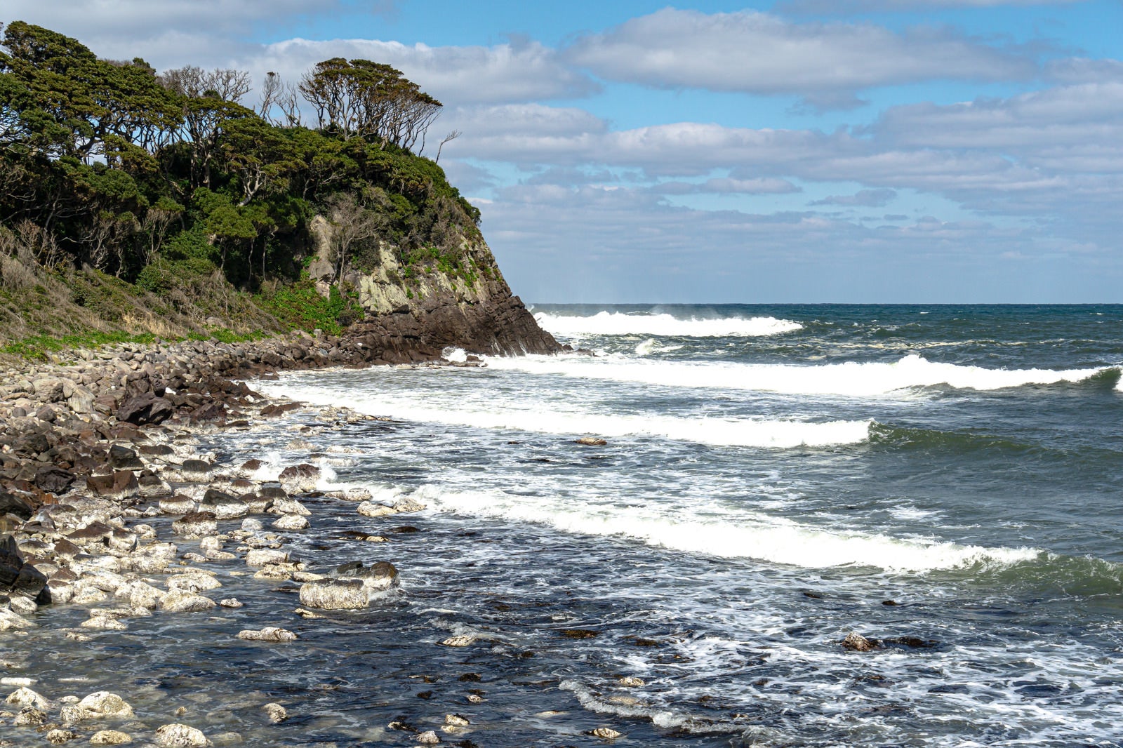 「次々に白波が打ち寄せるゴツゴツとした岩が並ぶ雄島の海岸」の写真