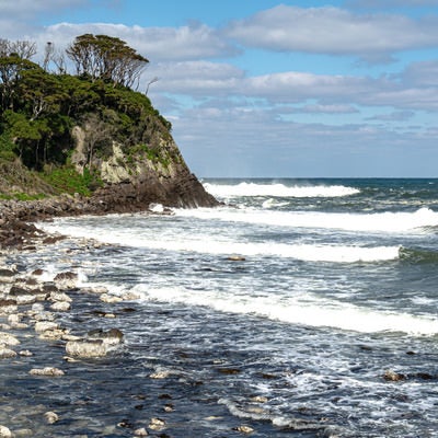 次々に白波が打ち寄せるゴツゴツとした岩が並ぶ雄島の海岸の写真