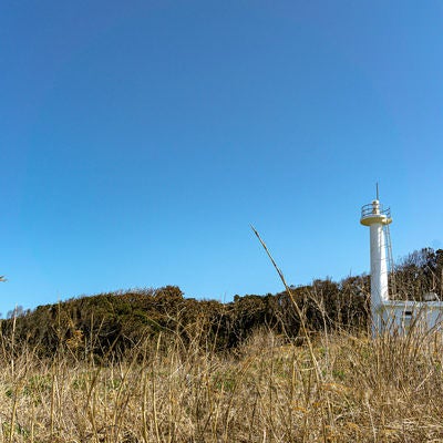 島西側の岩場付近から見上げた雄島灯台の写真