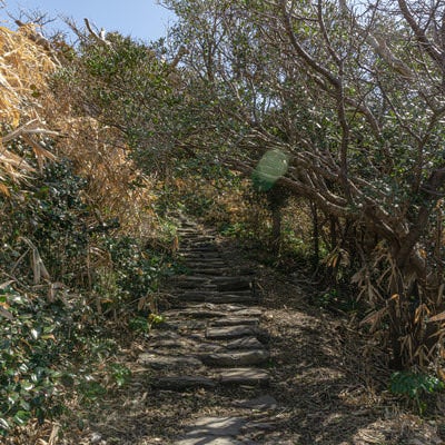 雄島を周回する遊歩道の緩やかな階段の写真