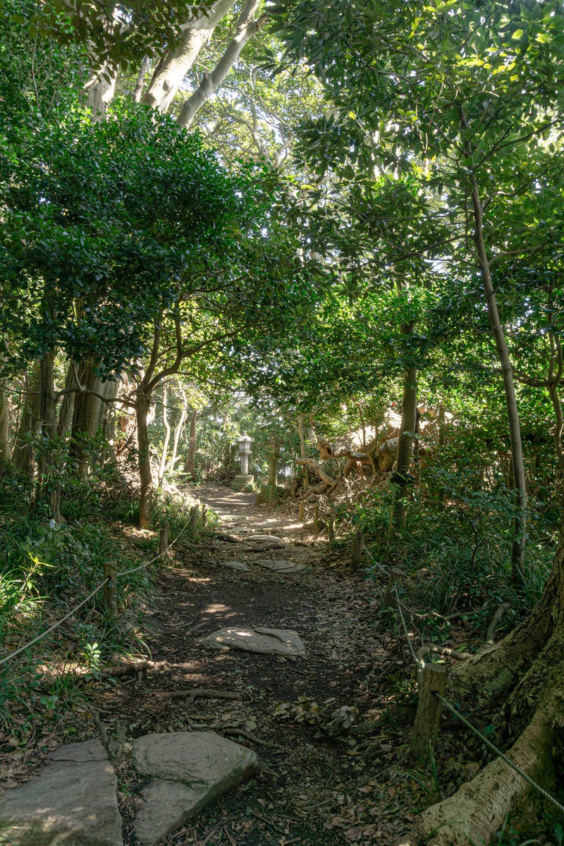 「雄島の遊歩道」の写真