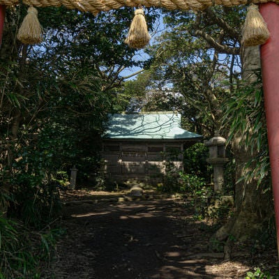 雄島大湊神社の海に向かって建つ鳥居から見る拝殿の写真