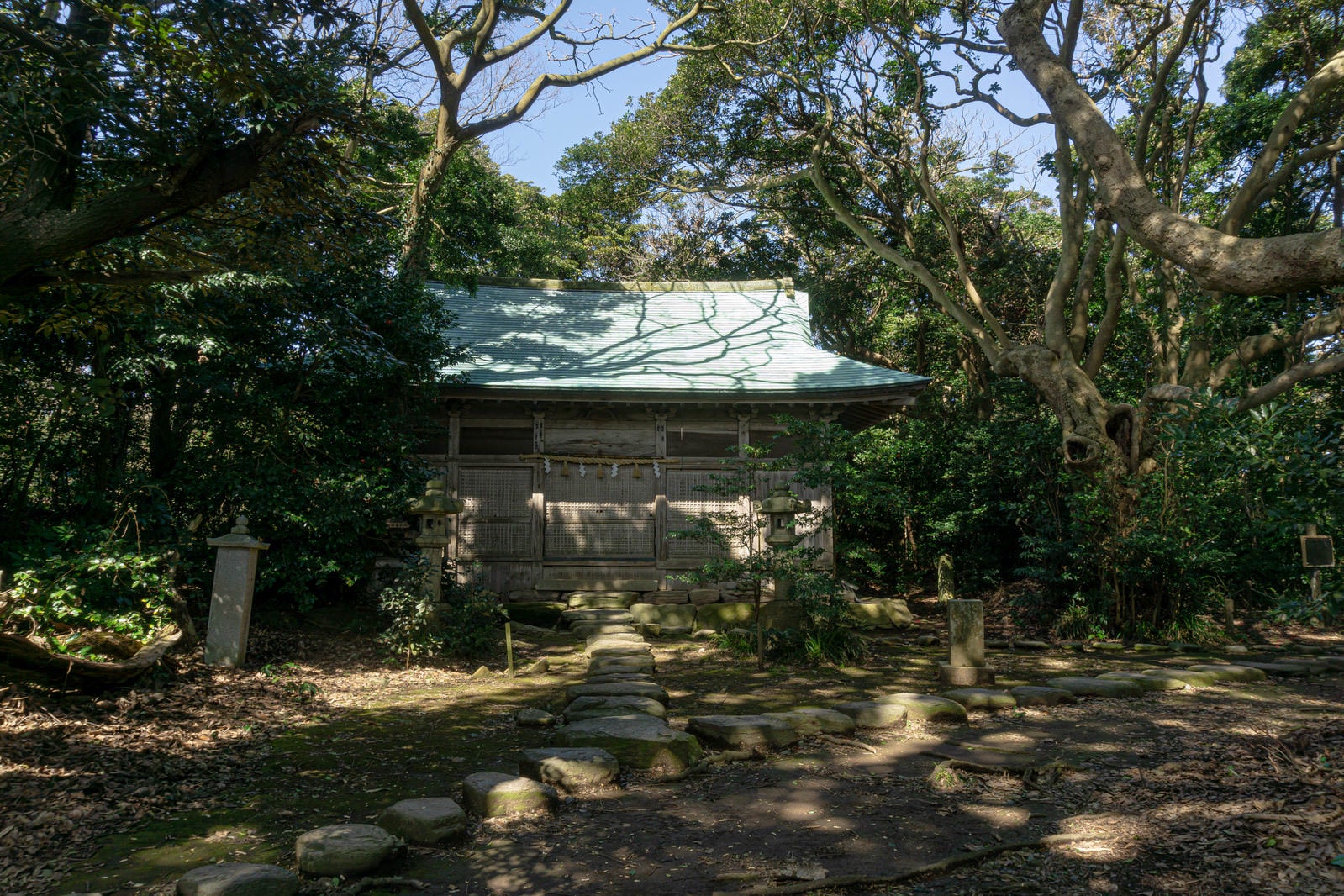 「木漏れ日が降る大湊神社境内に建つ拝殿」の写真
